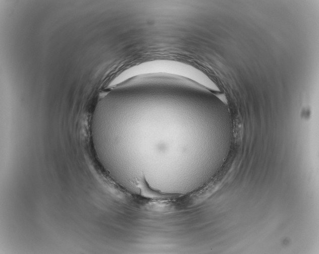 X0000093610280200711121219