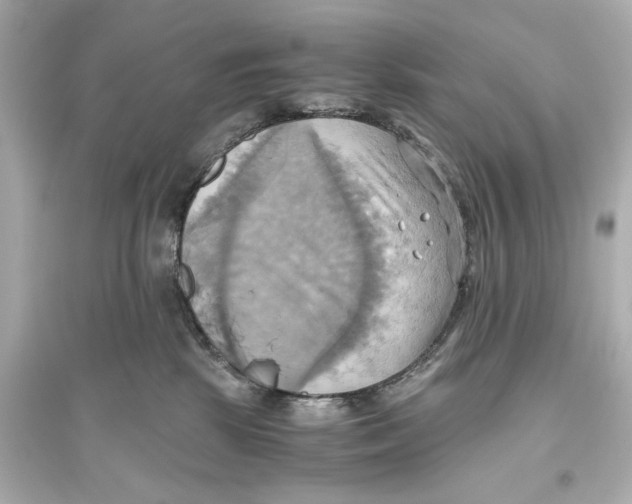 X0000093610281200711121219
