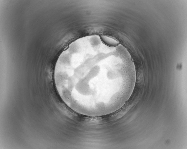 X0000093610282200711121219