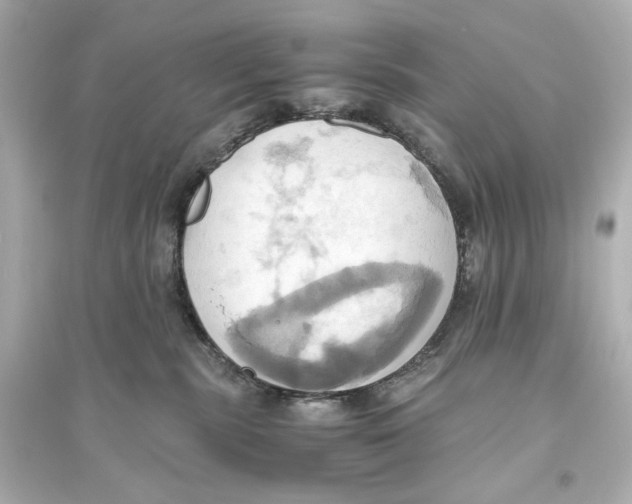X0000093610283200711121219
