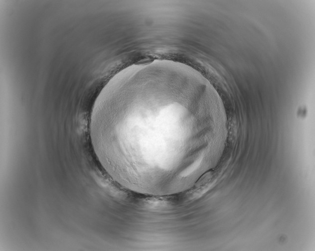 X0000093610284200711121219