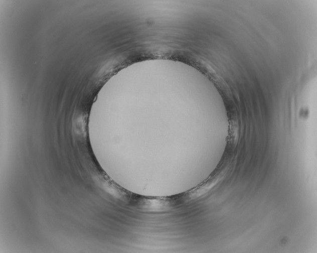 X0000093610286200711121219