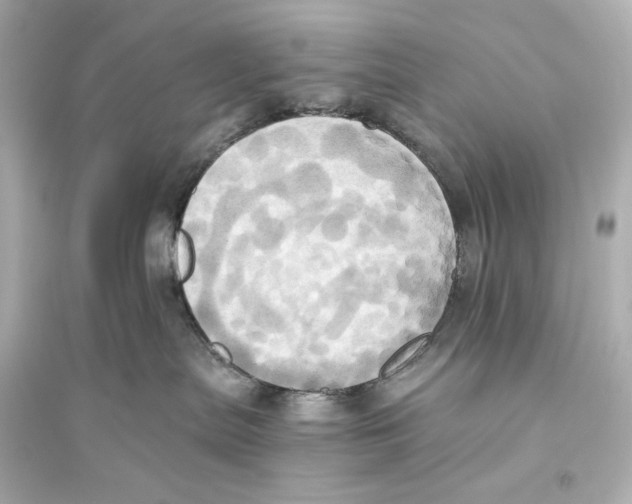 X0000093610287200711121219