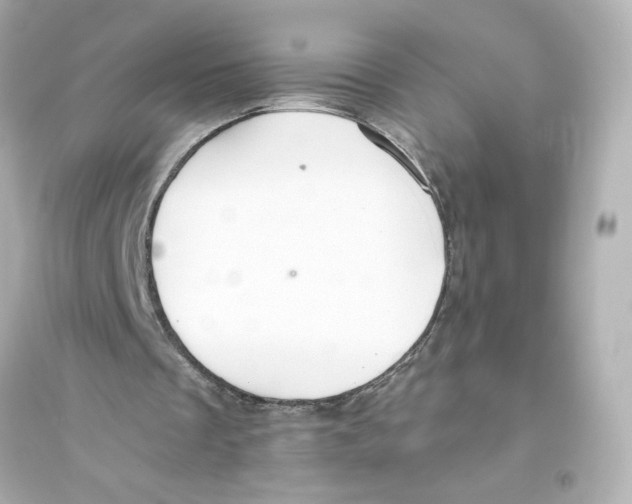 X0000093610289200711121219