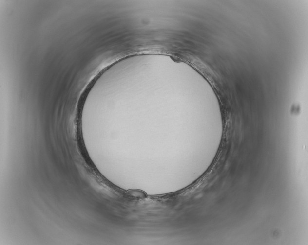 X0000093610290200711121219
