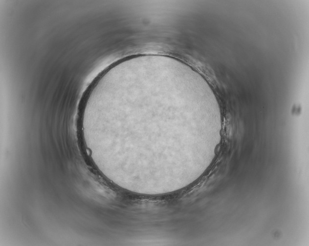 X0000093610292200711121218