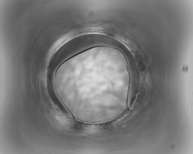 X0000093610293200711121218