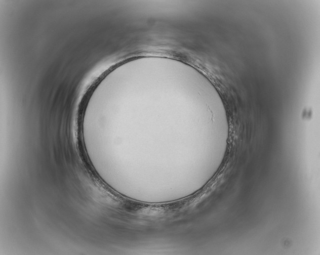 X0000093610294200711121218