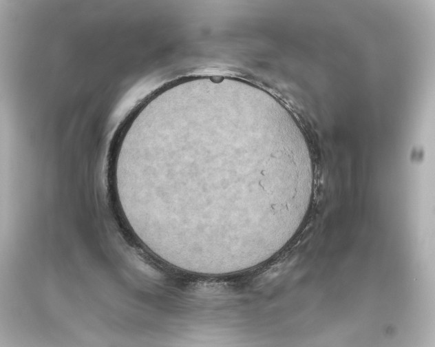 X0000093610296200711121218