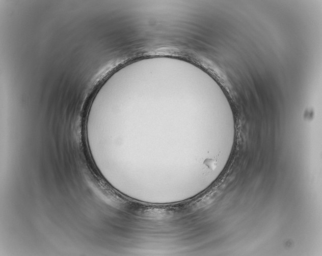 X0000093610298200711121218