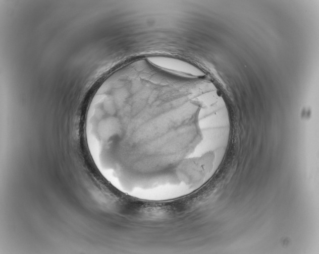 X0000093610299200711121218
