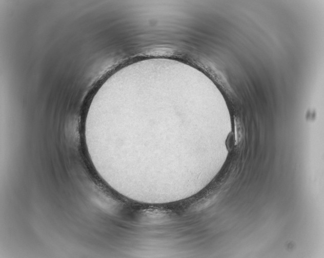 X0000093610300200711121218