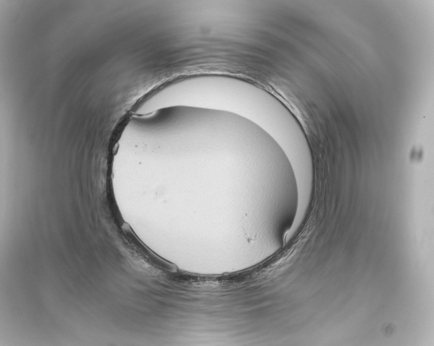 X0000093610301200711121218