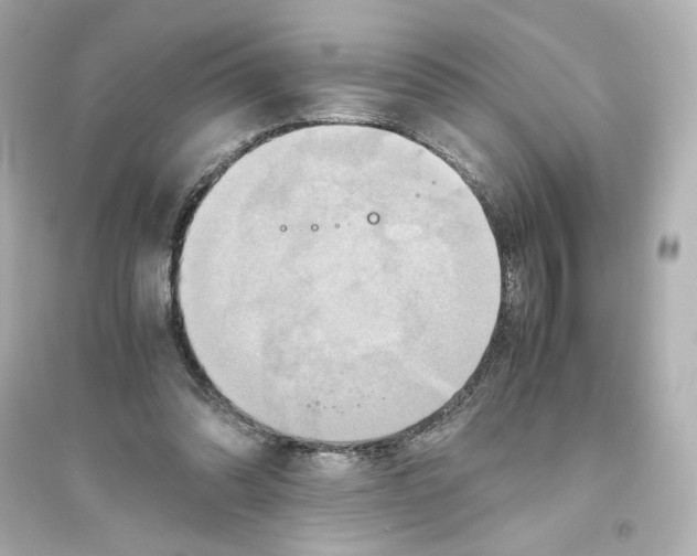X0000093610302200711121218