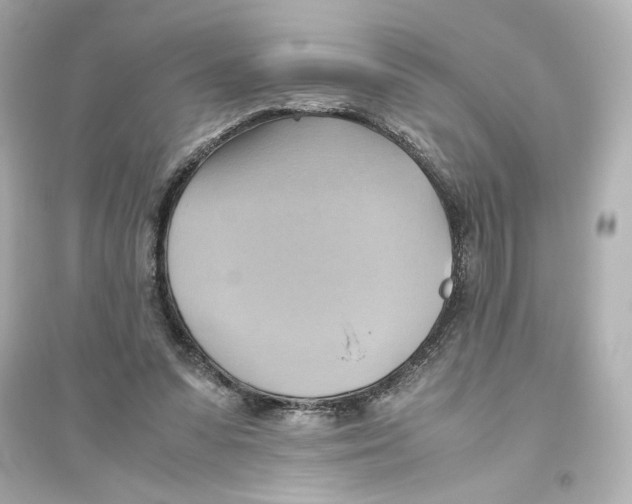 X0000093610303200711121218