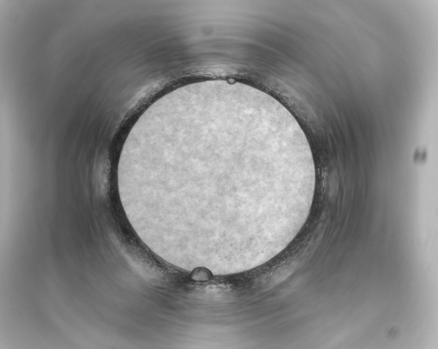 X0000093610304200711121218