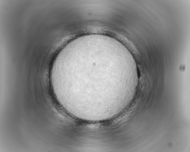 X0000093610306200711121218