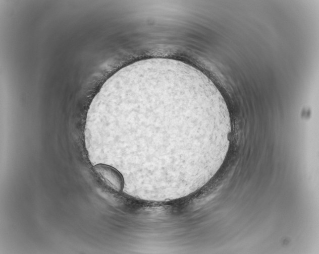 X0000093610307200711121218
