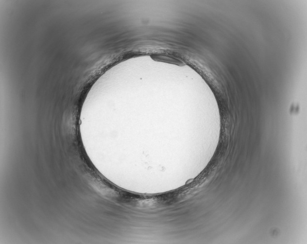 X0000093610309200711121218