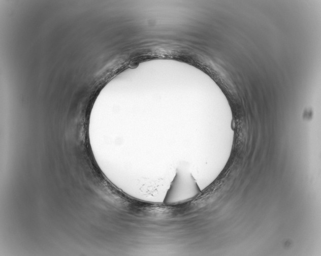 X0000093610313200711121218