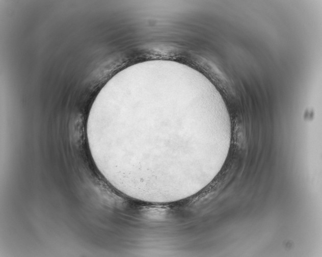 X0000093610318200711121218