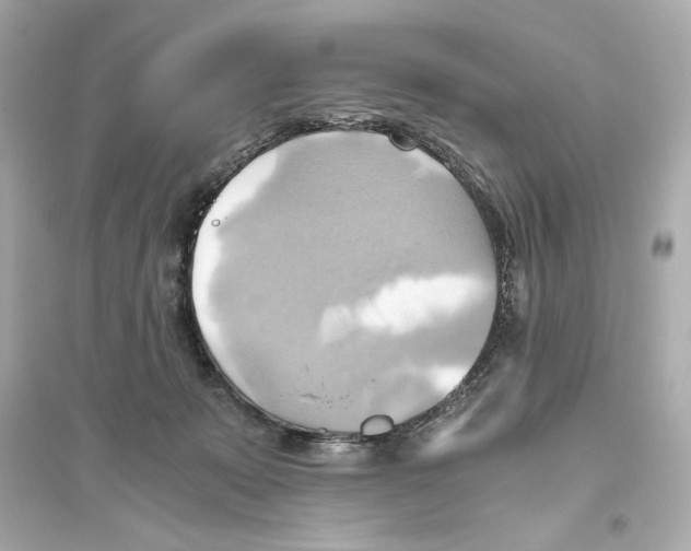 X0000093610319200711121218