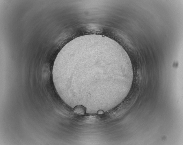 X0000093610320200711121218