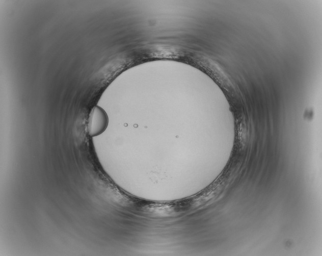 X0000093610322200711121218