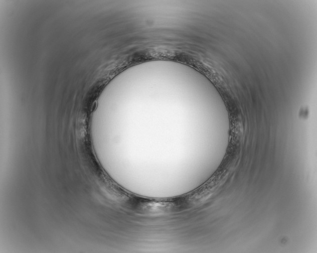 X0000093610323200711121218