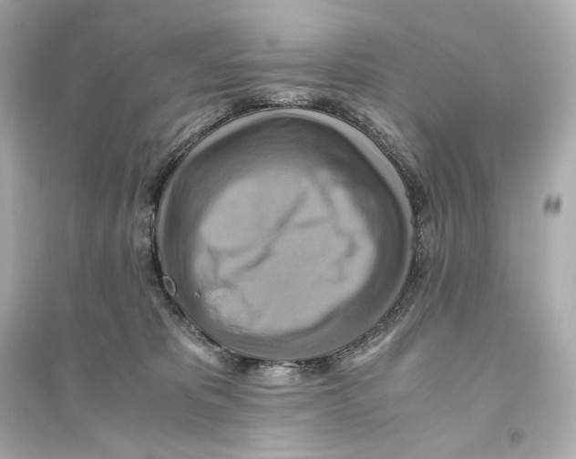 X0000093610325200711121218