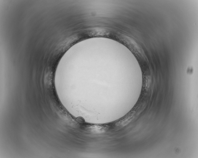 X0000093610326200711121218