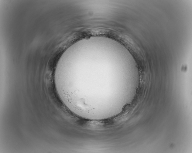 X0000093610327200711121218