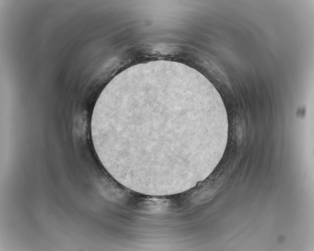 X0000093610328200711121218