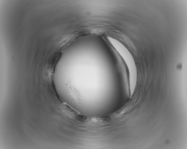 X0000093610329200711121218