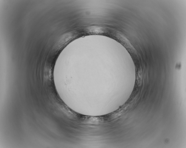 X0000093610330200711121218