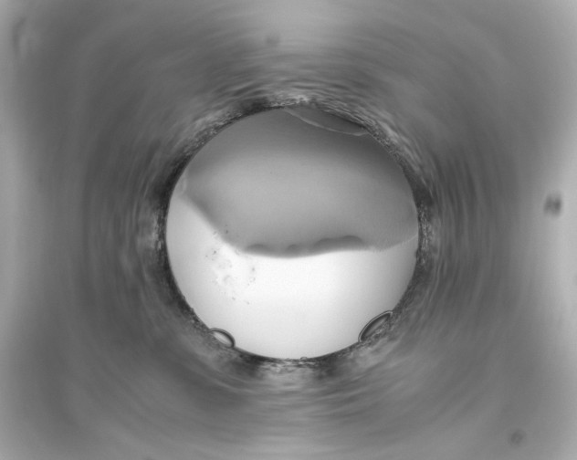 X0000093610331200711121218