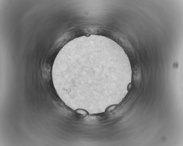 X0000093610332200711121218