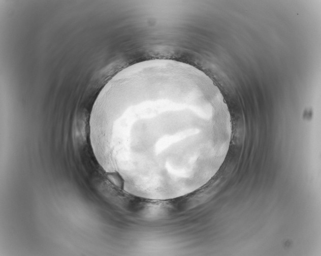 X0000093610334200711121218