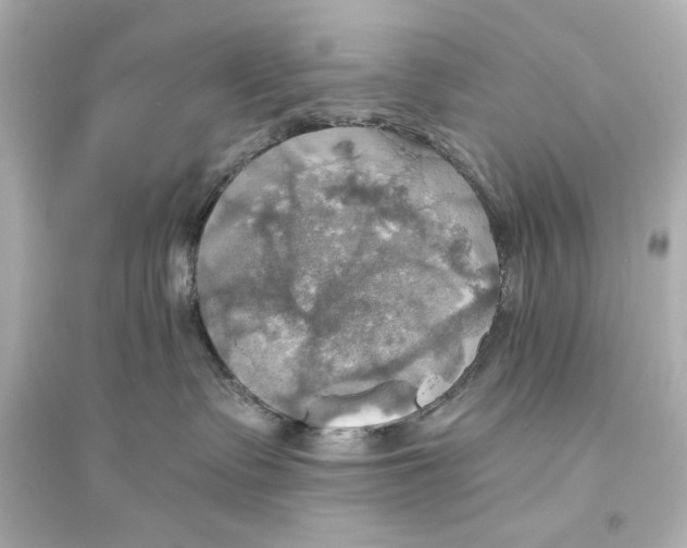 X0000093610335200711121218