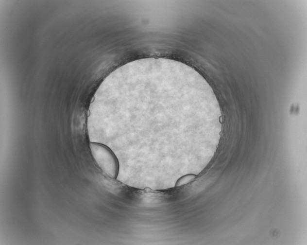 X0000093610336200711121218