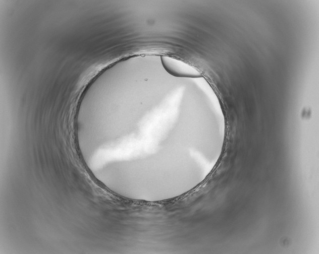 X0000093610337200711121217
