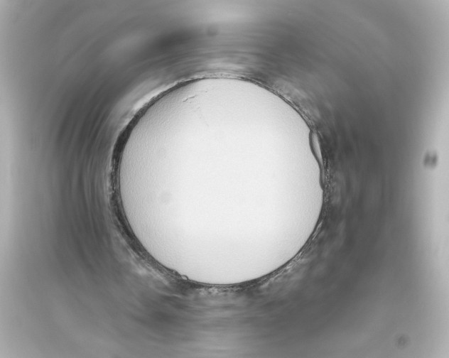 X0000093610338200711121217