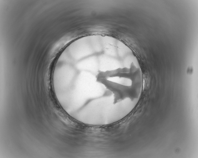 X0000093610339200711121217