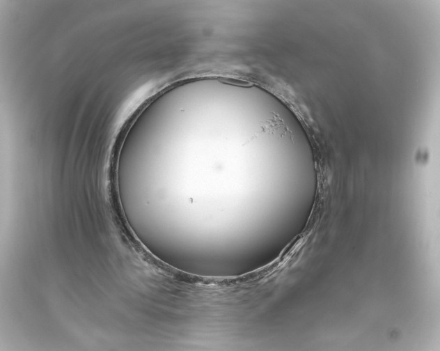 X0000093610340200711121217