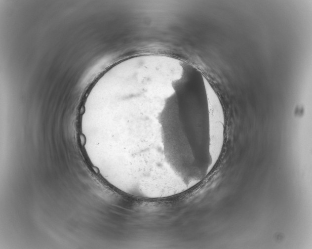 X0000093610341200711121217