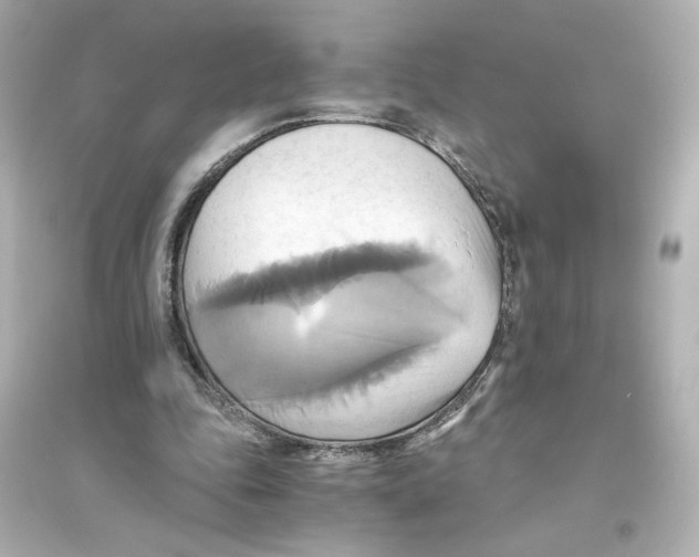 X0000093610343200711121217