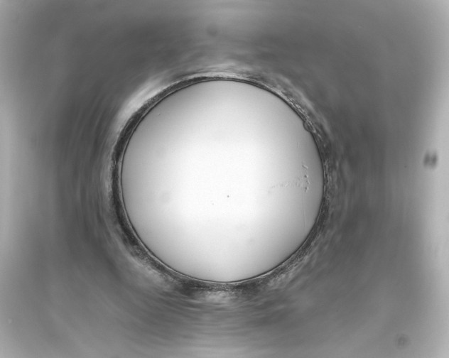 X0000093610344200711121217