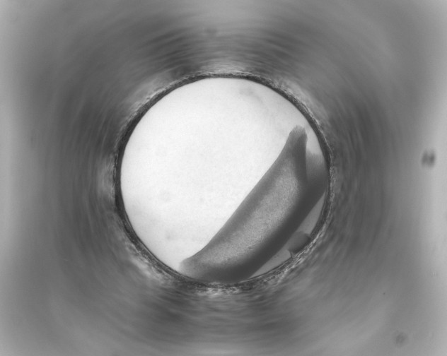 X0000093610345200711121217