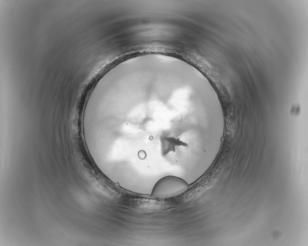 X0000093610347200711121217