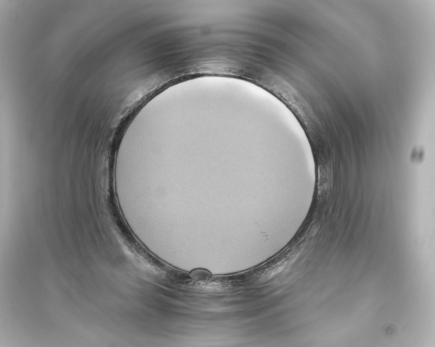 X0000093610349200711121217